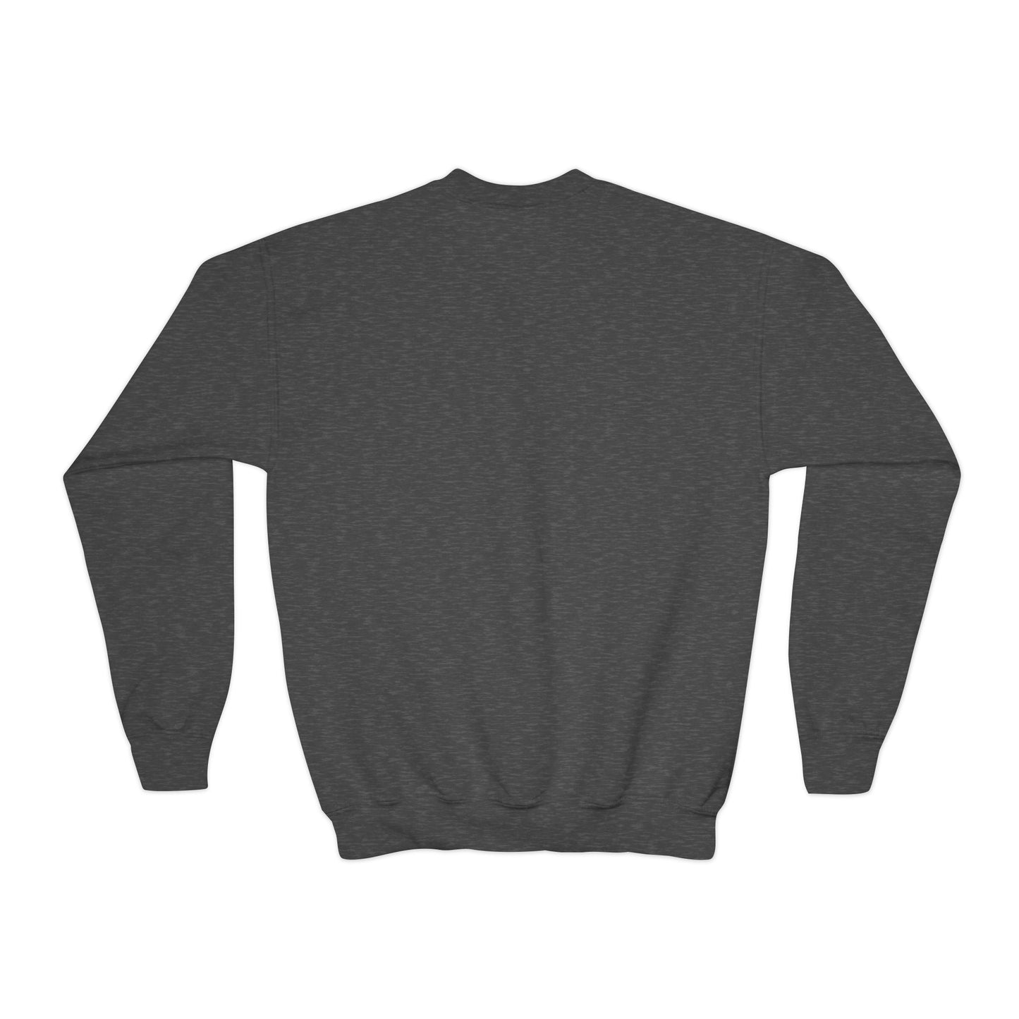 HCO Original Design Youth Crewneck