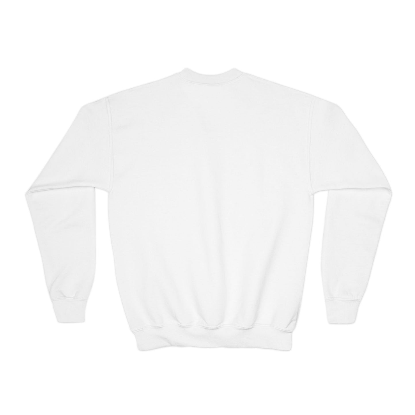 HCO Original Design Youth Crewneck